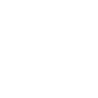 Logo - YS Park