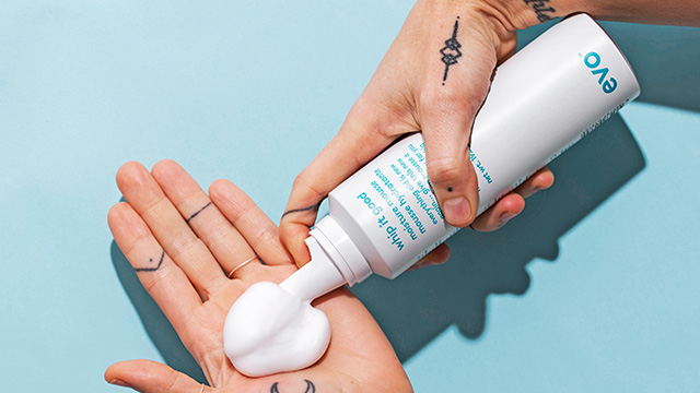 Evo - Knowledge Master